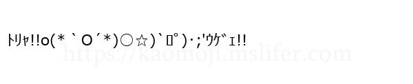 ﾄﾘｬ!!o(*｀O´*)○☆)`ﾛﾟ)･;'ｳｹﾞｪ!!
-顔文字